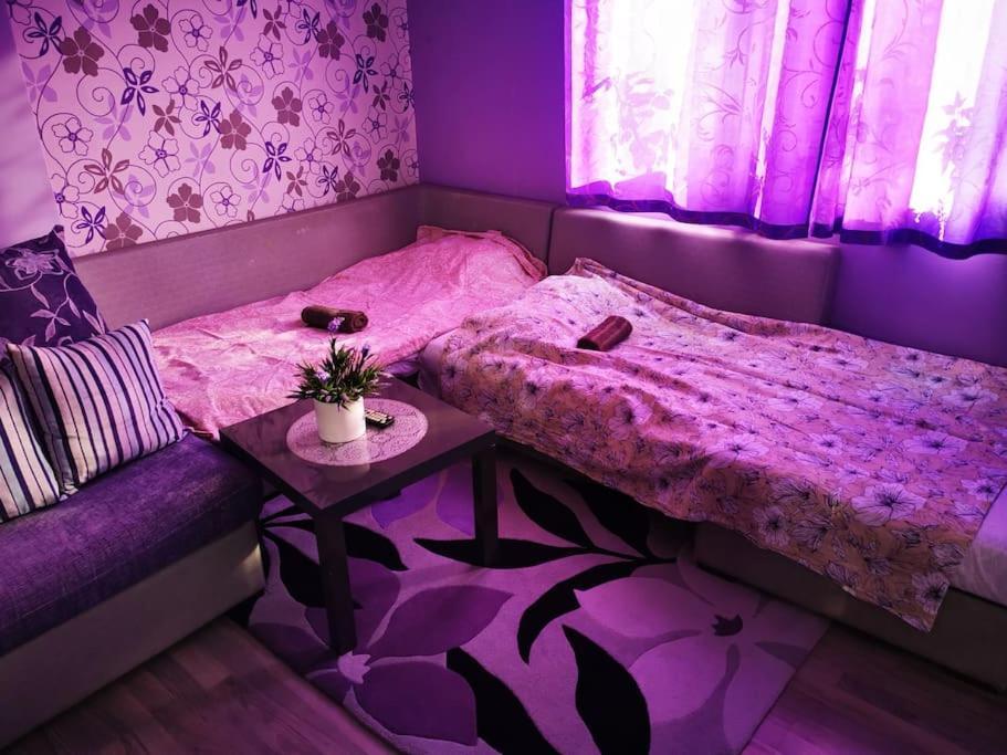 Apartment Lavender, Near To Airport โซเฟีย ภายนอก รูปภาพ